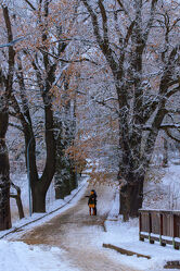 Bild mit Bäume, Winter, Schnee, Strasse, weiss, Brücke, Paar, Laub, Kalt, Jahreszeit