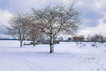 Bild mit Bäume, Winter, Schnee, Wolken, Wege, Stillleben, Frost, Kalt, Spuren, Jahreszeit