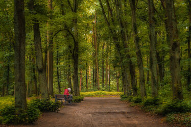 Bild mit Natur, Bäume, Wald, Bank, Entspannung, Park, Frau, Erholung, mystisch, sitzend