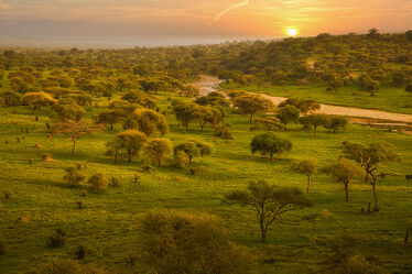 Bild mit Sonnenuntergang, Sonnenaufgang, Abendrot, Afrika, Abendlicht, Nationalpark, Tarangire Nationalpark