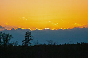 Bild mit Orange, Natur, Bäume, Wolken, Sonnenuntergang, Sonne, Schweden, Schatten, Poster, Windräder