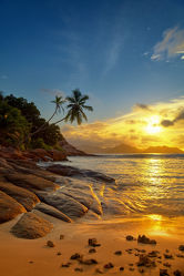 Bild mit Natur, Wasser, Gewässer, Wellen, Sonnenuntergang, Palmen, Sonnenaufgang, Strand, Sandstrand, Am Meer, ozean