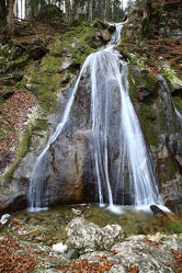 Bild mit Wasserfall Fischbach