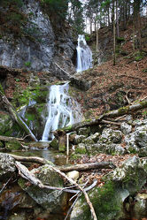Bild mit Wasserfall Fischbach