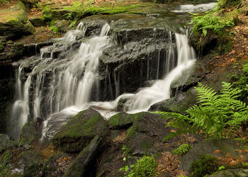 Bild mit Natur, Landschaften, Wälder, Wasserfälle, Wald, Landschaft, Bach, Wasserfall, Bäche