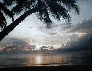 Sonnenaufgang unter Palmen