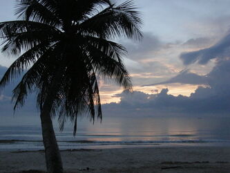 Bild mit ozean, Kokospalme, Spiegelbild, Wolken., Gewitterreste