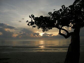 Bild mit Sonnenuntergang, Baum, Meer, Thailand, traumhaft