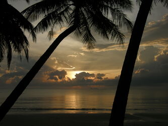 Bild mit Sonnenuntergang, Palmen, Meer, Thailand, Palmenwald