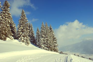 Bild mit Schneelandschaften