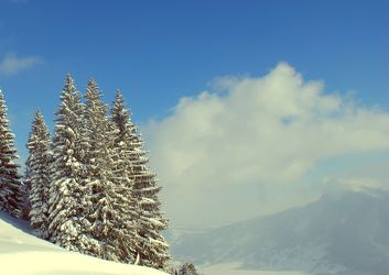 Bild mit Landschaften, Berge, Winter, Schnee, Tannen, Landschaft, Weihnachten, winterlandschaft, Schneelandschaften, berg