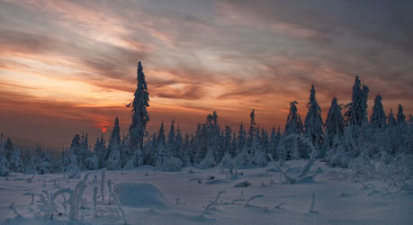 Bild mit Landschaften, Bäume, Winter, Schnee, Wälder, Wald, Baum, Landschaft, Winterlandschaften, Frost, Gebirge
