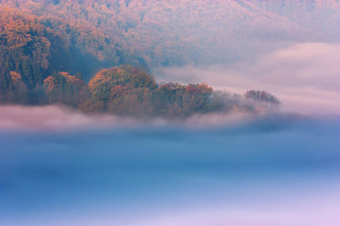Bild mit Natur, Bäume, Wolken, Wälder, Herbst, Nebel, Wald, Baum, Blätter, Wäldchen, Landschaften im Herbst, Nebelwolken