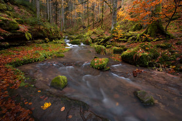 Bild mit Natur, Wasser, Bäume, Wälder, Herbst, Wald, Baum, Blätter, Bach, Wäldchen, Landschaften im Herbst, Fluss