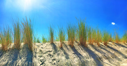 Bild mit Himmel, Sand, Urlaub, Strand, Sandstrand, Panorama, Düne, Dünengras, Holliday, Schilfgras, Dünen Schilf, Strandpflanzen, Strandpflanze, Dünen panorama, Dünenblick