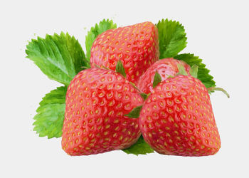 gemalte Früchte - Erdbeeren