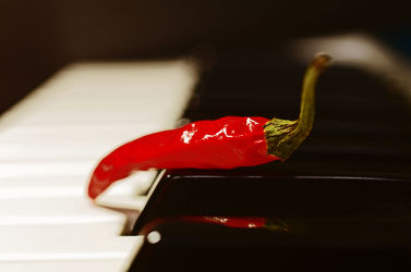 Scharfe Chili auf Klavier