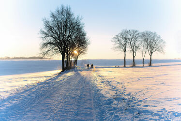 Bild mit Natur, Bäume, Winter, Schnee, Eis, Weiß, Panorama, Nature, Landschaftspanorama, Landscape & Nature