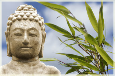 Bild mit Himmel, Bambus, Meditation, Ruhe, Entspannung, Buddha, Wellness, Spa, zen