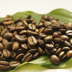 Kaffeebohnen auf grünem Blatt