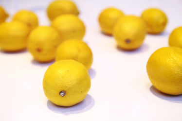 fresh citrus