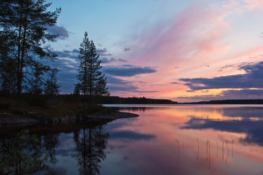 Bäume am See Lentua, Finnland