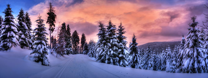 Bild mit Bäume, Winter, Schnee, Eis, Wälder, Sonnenuntergang, Urlaub, Sonnenaufgang, Tannen, Wald, Märchenwald, Weihnachten, Winterzeit, Kälte, Frost, Sonnenstrahlen, skiurlaub, märchen