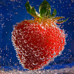 Bild mit Wasser, Erdbeere, Erdbeeren, Küchenbild, Blasen, Küchenbilder, KITCHEN, frisch, Küche, Küchen, bläschen