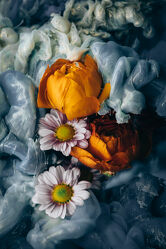 Bild mit Flowers, macro, water, color, Still life, cut flowers, spring blossoms, acrylic paint, acrylic, under water