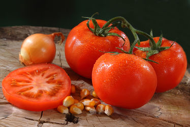 Bild mit Tomate, Tomaten, Gemüse, Küchenbild, Küchenbilder, KITCHEN, frisch, Küche, Mais, Maiskörner, Zwiebel, onion, corn, tomatos