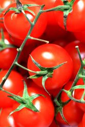 Bild mit Tomate, Tomaten, Gemüse, Küchenbild, Food, Früchte & Lebensmittel, Küchenbilder, KITCHEN, Küche, Küchen