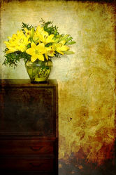 Bild mit Kunst, Blumen, Blume, Flower, Abstrakt, Blüten, yammay blumig, Schatten, Silhouette, natur kunst