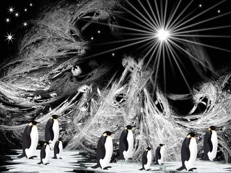Bild mit Tiere, Schnee, Eis, Vögel, Tier, Kinderbild, Kinderbilder, Kinderzimmer, Kinder, Sterne, Antarktis, Eisscholle, Pinguine, Pinguin