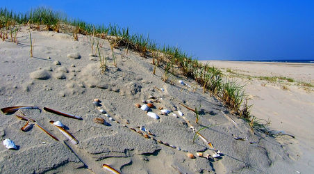 Bild mit Wasser, Sand, Sonne, Strand, Meer, Dünen, Muscheln, Strand / Meer, Borkum, Hochseeinsel