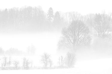 Bild mit Bäume, Winter, Schnee, Wolken, Sträucher, Nebel, Landschaft, Felder, Winterzeit, Wiesen, Idylle, Zäune