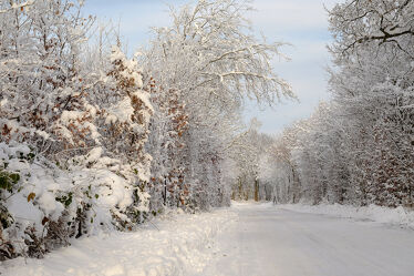 Bild mit Bäume, Winter, Schnee, Licht, Wandern, Ausspannen, Idylle, Strassen