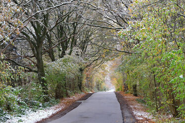 Bild mit Winter, Schnee, Herbst, November, Rauhreif, Raureif