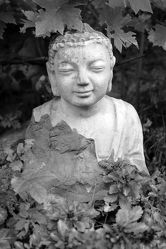 Bild mit Meditation, Ruhe, Entspannung, Buddha, Wellness, Fotografie, schwarz weiß, asien, Buddhismus, Religion