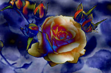Gelbe Rose in Blau