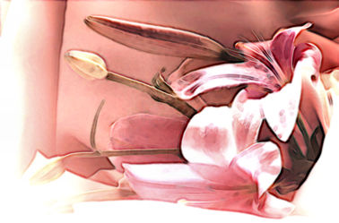 Bild mit Lilie, Digital Art, Blumiges, Digitale Blumen