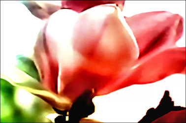Bild mit Natur, Blumen, Blume, Lilie, Digital Art, Digitale Kunst, Digitales, Blumiges, blüte, Digitale Art