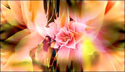 Bild mit Bunte Blumenpracht, Blütenzauber, Blüten, Blumiges, Digitale Blumen
