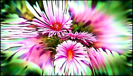 Bild mit Blütenzauber, Digitales, Blumiges, Blumenmakro, Digitale Blumen