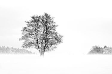 Bild mit Winterbilder