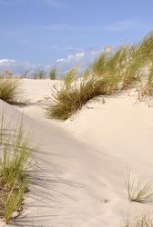 Bild mit Grün, Sand, Strand, Sandstrand, Ostsee, Dünen, Dünengras, Wellness, Strandhafer, Hell, freundlich