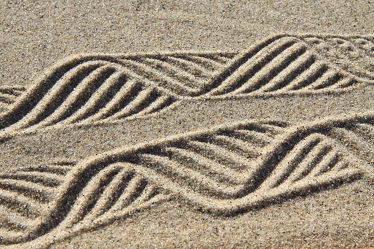 Linien im Sand 03