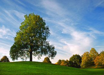 Bild mit Natur, Natur, Grün, Landschaften, Himmel, Bäume, Wolken, Herbst, Blau, Sommer, Sonne, Baum, Landschaft, Park, Erholung, Parkanlage