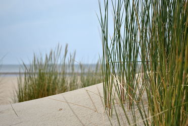 Bild mit Strände, Sand, Strand, Sandstrand, Düne, Dünen, Dünengras, Küste, Wellness, maritimes, Strandhafer, Traum
