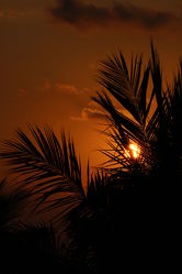 Sonnenuntergang Bild 3389
