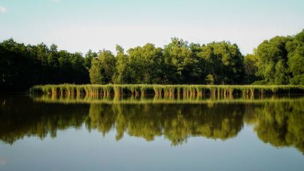Bild mit Natur, Wasser, Gräser, Wald, Landschaft, See, Spiegelung, reflection